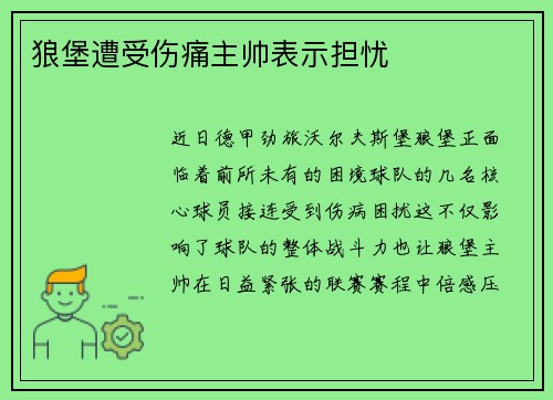 狼堡遭受伤痛主帅表示担忧