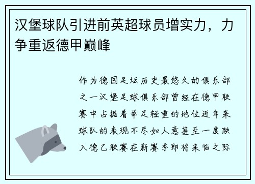 汉堡球队引进前英超球员增实力，力争重返德甲巅峰